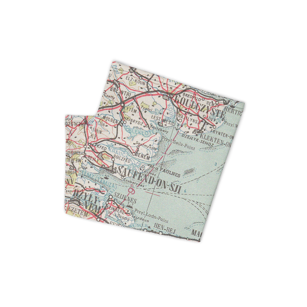 Neck Gaiter with Polish Air Force Map